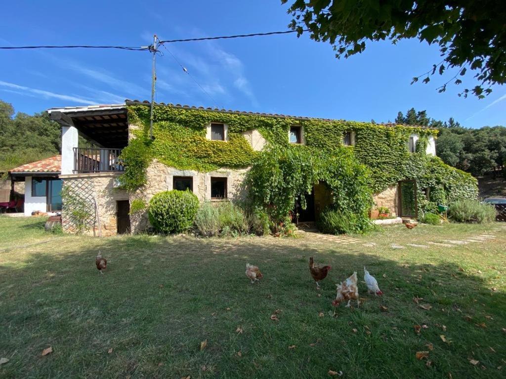 Can Canaleta Hotel Rural Santa Coloma De Farners Eksteriør bilde
