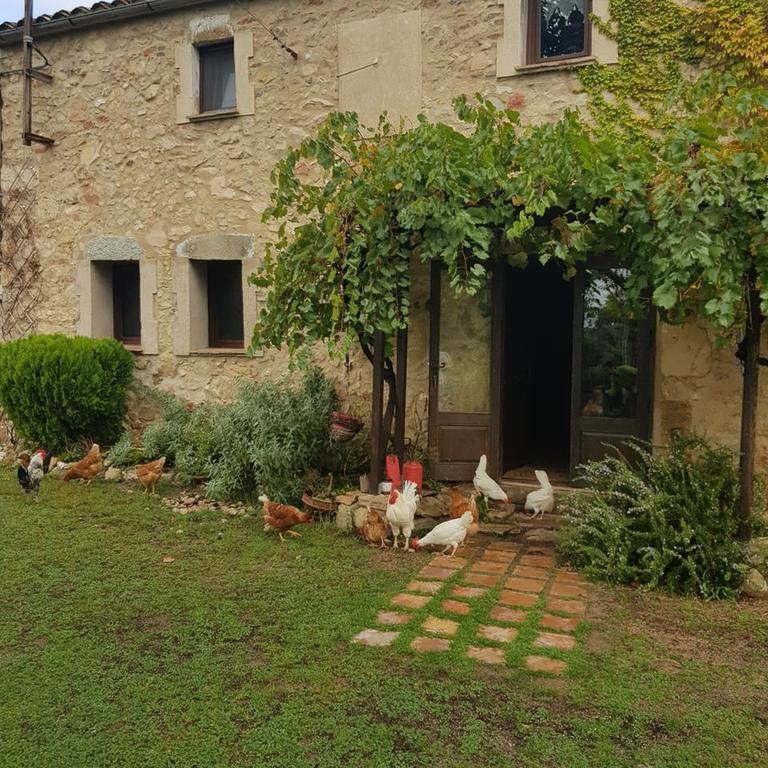 Can Canaleta Hotel Rural Santa Coloma De Farners Eksteriør bilde
