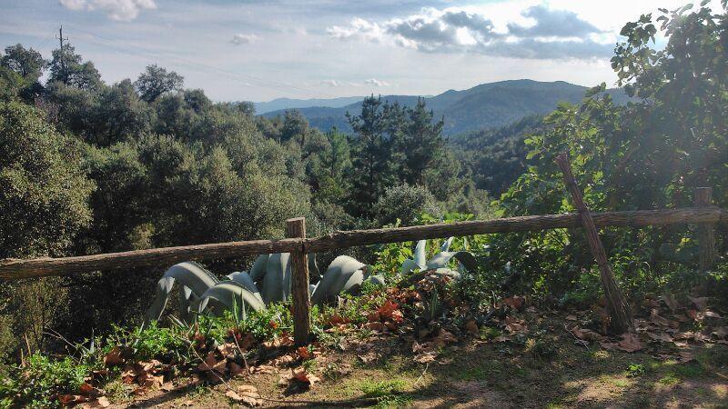 Can Canaleta Hotel Rural Santa Coloma De Farners Eksteriør bilde